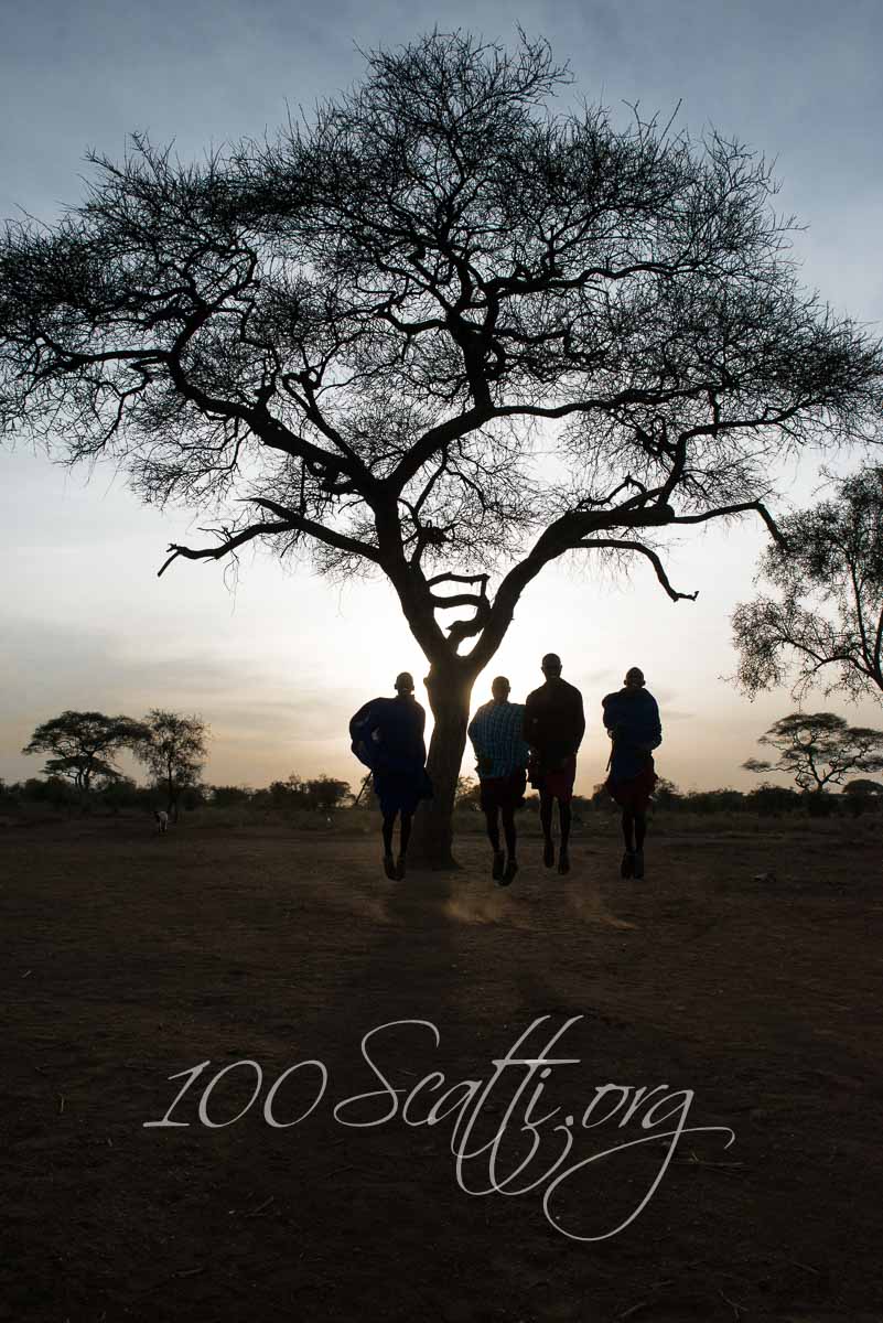 Kenya safari 03.jpg